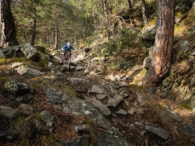 Augsburg singletrail